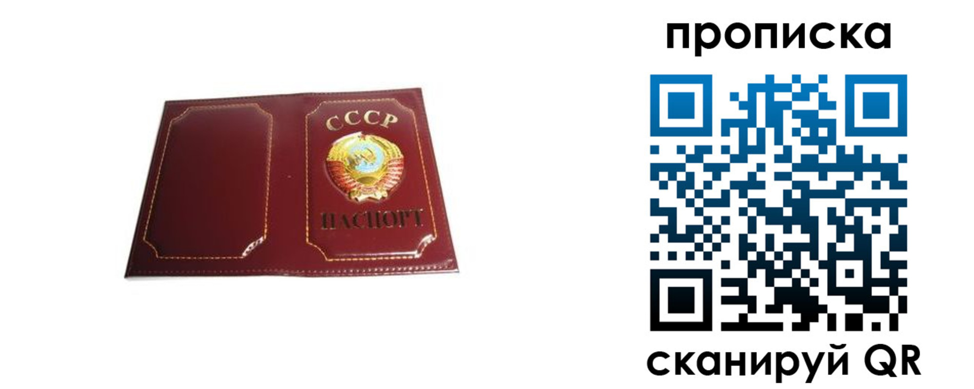 прописка гарантия в Никольском